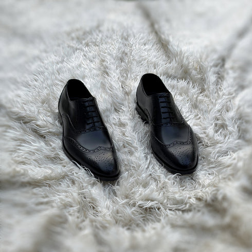 WINSTON - BLACK (Limited Edition)